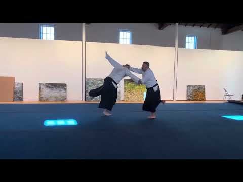 Kokikai Aikido Sensei Todd Kupper 