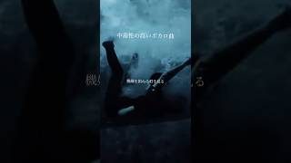 中毒性の高いボカロ曲「残月に咽ぶ/初音ミク」 #vocaloid #ボカロオリジナル曲 #hatsunemiku