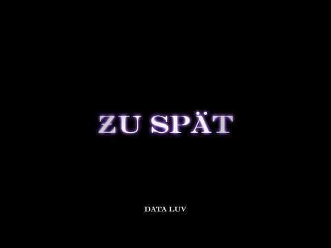 DATA LUV - ZU SPÄT (LEAK)