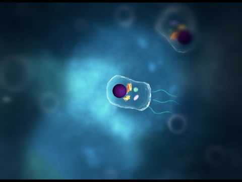 Concept Video - Light and Heat