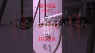 『ROSE』を"お風呂で限界までキー上げして"歌ってみたら多分〇んだ【しゃけみー/アカペラ/HANA】