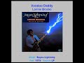 LONNIE BROOKS    "Voodoo Daddy"  1979