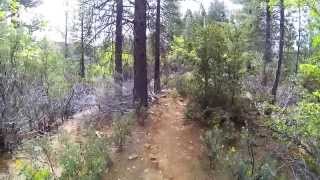 preview picture of video 'Foresthill OHV - Trail 6'