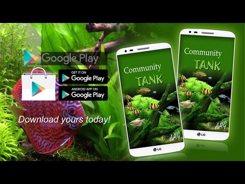Community Fish Tank Video