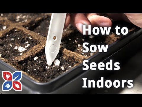  Do My Own Gardening - How to Sow Seeds Indoors Video 