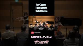 Download lagu フルート×チェロ×ピアノで奏でる《白鳥》🕊️ mp3 Download lagu フルート×チェロ×ピアノで奏でる《白鳥》🕊️ mp3