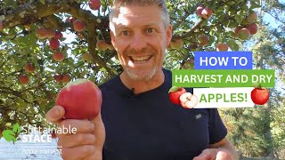How To Harvest and Dry Apples