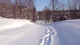 preview picture of video '2010/02/23 Bodane Hike, Sweden'