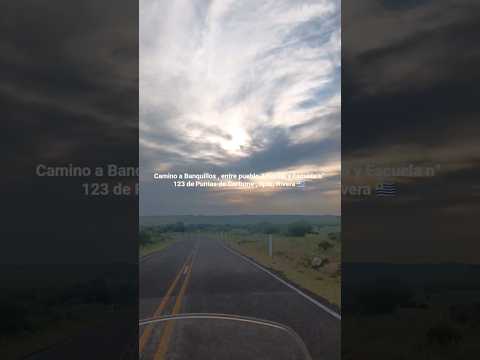 Camino a Banquillos , entre pueblo Amarillo y Esc. n° 123 de Puntas de Cortume , dpto. Rivera 🇺🇾 .