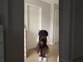 Me When I Have 9 Seconds To Get Ready