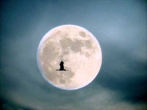 The Extra Mile - Bee Gees