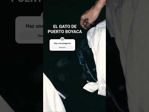 El Gato De Puerto Boyacá.                      Nuevo Corrido