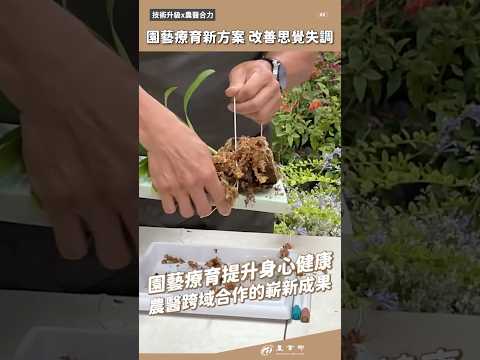園藝療育新方案 改善思覺失調