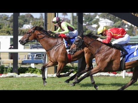 2020 ARC SISTEMA RAILWAY