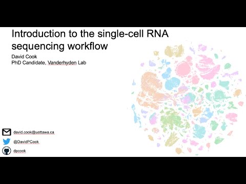 scRNA-seq analysis workshop - April 27th, 2020