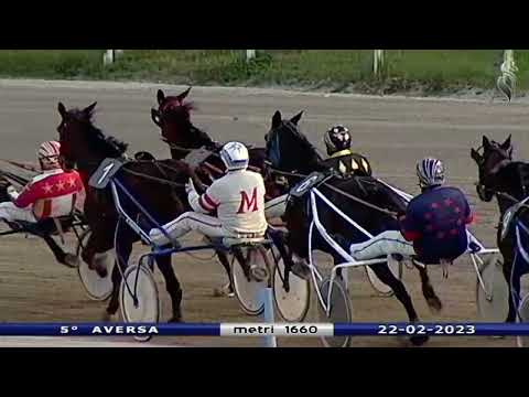 Aversa trotto 22 Febbraio 2023 - 5° Corsa