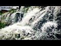 Nadiya Nadiya Kadhal Nadiya Whatsapp Status A R Rahman Rhythm Arjun