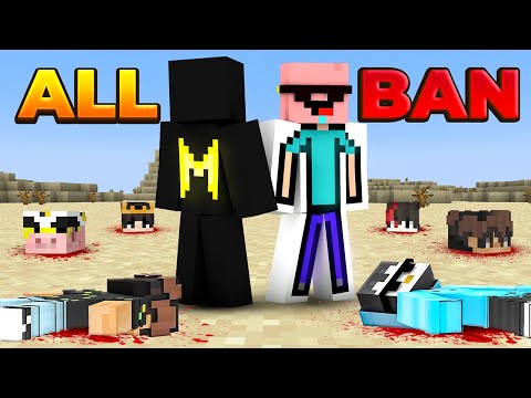 How this Mysterious Player KILLED EVERYONE in this HeadSteal SMP