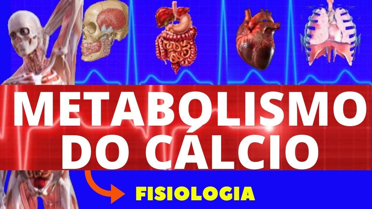 METABOLISMO DO CÁLCIO (FISIOLOGIA DE GUYTON) - FISIOLOGIA HUMANA - PARATORMÔNIO - SISTEMA ENDÓCRINO