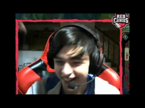 RED CANIDS "AVENGER" MONTAGE