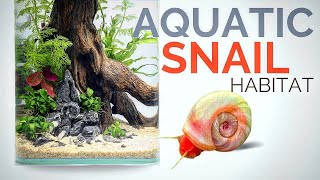 Nano planted aquarium for Ramshorn snails