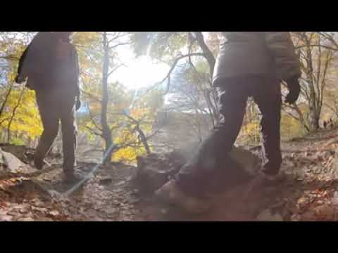 [TEST - VR 360] Insta 360 One X 2 - Randonnée Auvergne - Grand tour du Lac Pavin