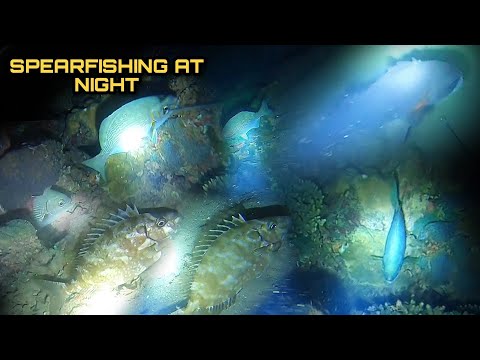 Night Spearfishing Hunting Fresh Seafoods Palawan Philippines Episode 8