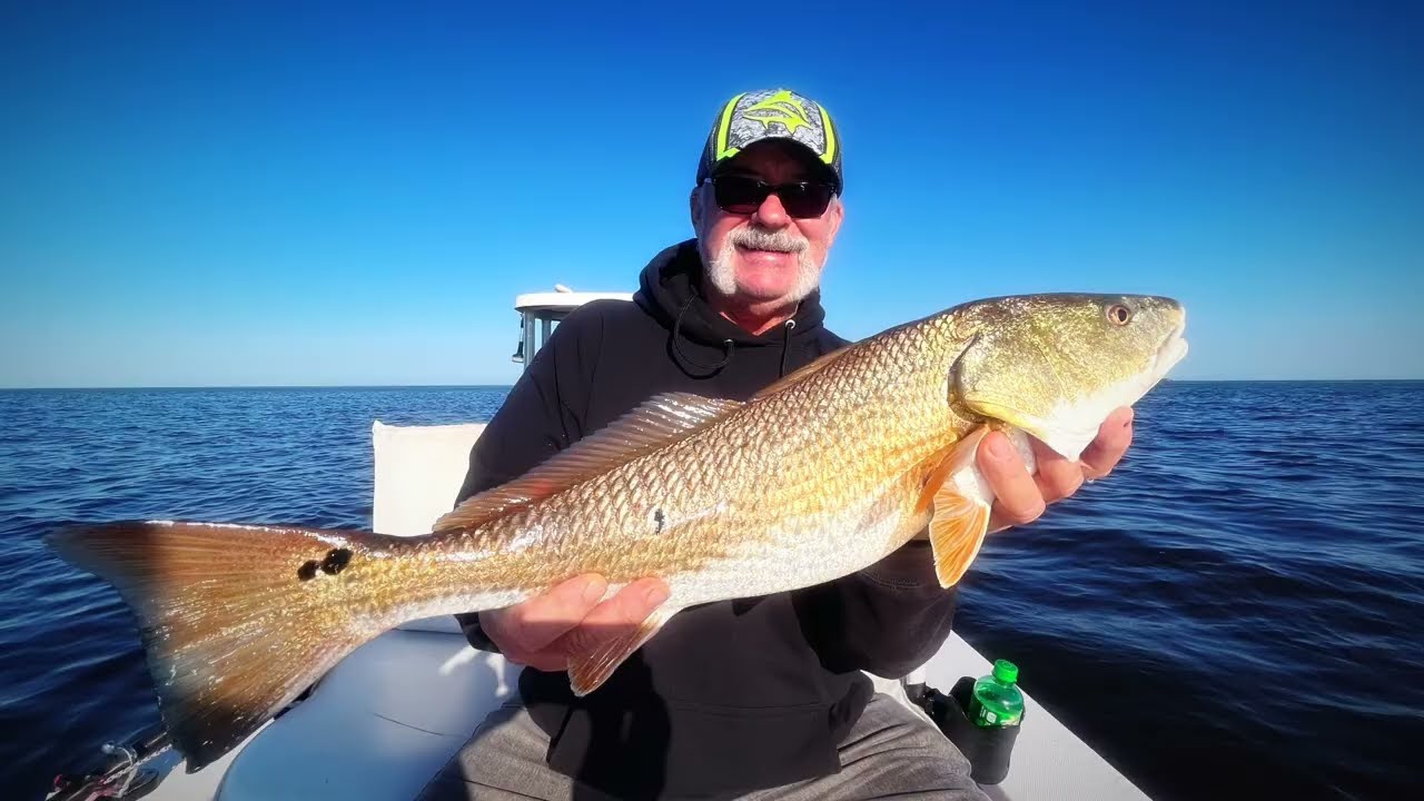November 2024 Fishing Report on Florida’s Adventure Coast!