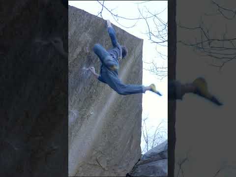 “Forgotten gem” 8C/V15 2nd go (Uncut)