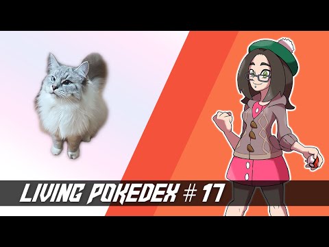 Un'ora di Sigma - Livingdex #17 Pokémon Spada e Scudo w/ Chiara