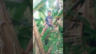 Download lagu Tik Tok orang jatuh mp3