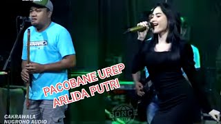 Download lagu FUL SAWERAN [[ ARLIDA PUTRI ]] PACOBANE UREP NUGROHO AUDIO CAKRAWALA JANDUT mp3