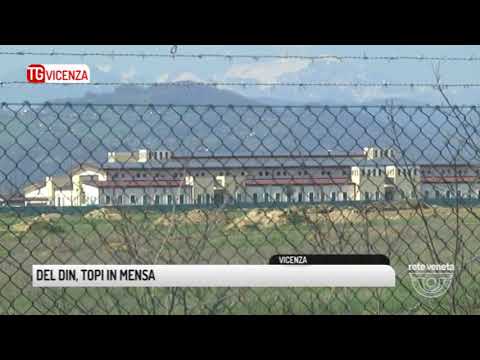 TG VICENZA (13/10/2017) - DEL DIN, TOPI IN MENSA