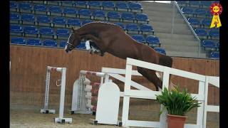 Video di Billy Ray 3