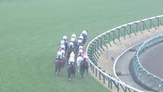 2018有馬記念を実況してみた