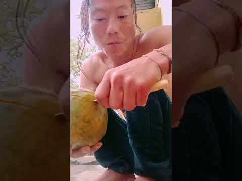 papaya kaoo enargy paoo