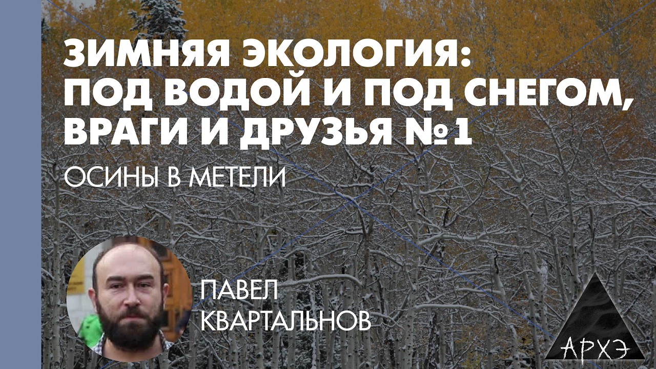 Павел Квартальный: Зимняя экология - под водой и под снегом, враги и друзья