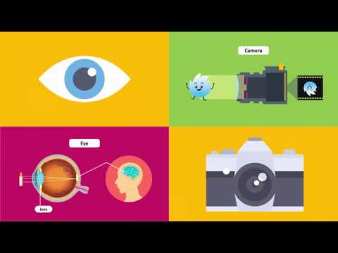 Compare the Working of a Human Eye with a Camera Lens _ Knowledge Platform