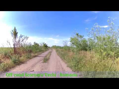 Brăila - Scorțaru Vechi - Romanu - Brăila