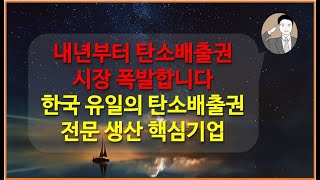 내년부터 탄소배출권 시장 폭발합니다[한국 유일의 탄소배출권 전문 생산 기업] 에코아이 지금 당장 주목
