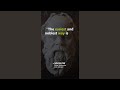 Socrates Quotes That Will Change Your Life | Quotes, Aphorism, Wisdom