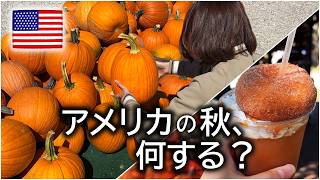 【アメリカ生活】秋の定番!田舎の農場で楽しむパンプキンパッチ