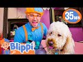 Blippi Visits A Pet Salon BEST OF BLIPPI TOYS Cute Animal Videos For Kids