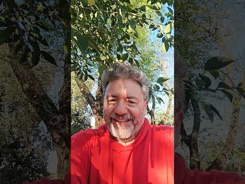 Gli Aerosmith secondo Chatgpt