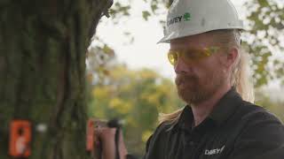 Tree Risk Assessment with Sonic Tomography