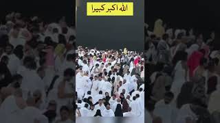 Overwhelming Crowd of Umrah Pilgrims at Masjid al Haram  | A Sight That Soothes the Soul