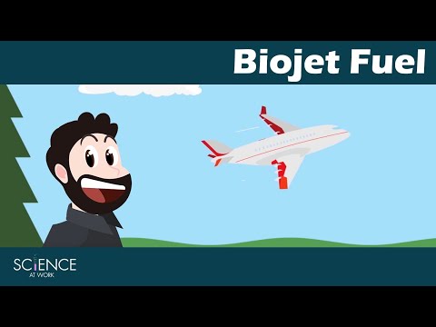 Can Airplanes Fly on Wood Chips? The next generation of biofuel (Science at Work)
