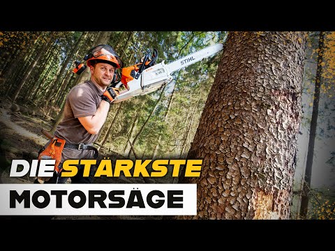 STIHL MS 881 💪😍 - The most powerful chainsaw on the market