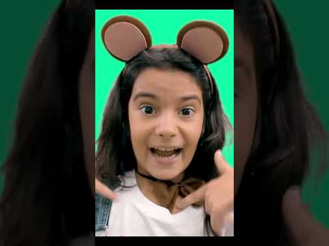 Quem ama os animais?  #yasminverissimo