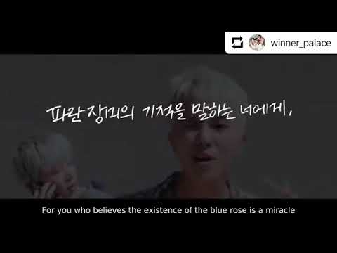 Inner Circle a heart touching message to WINNER ♡ (part 3/6)